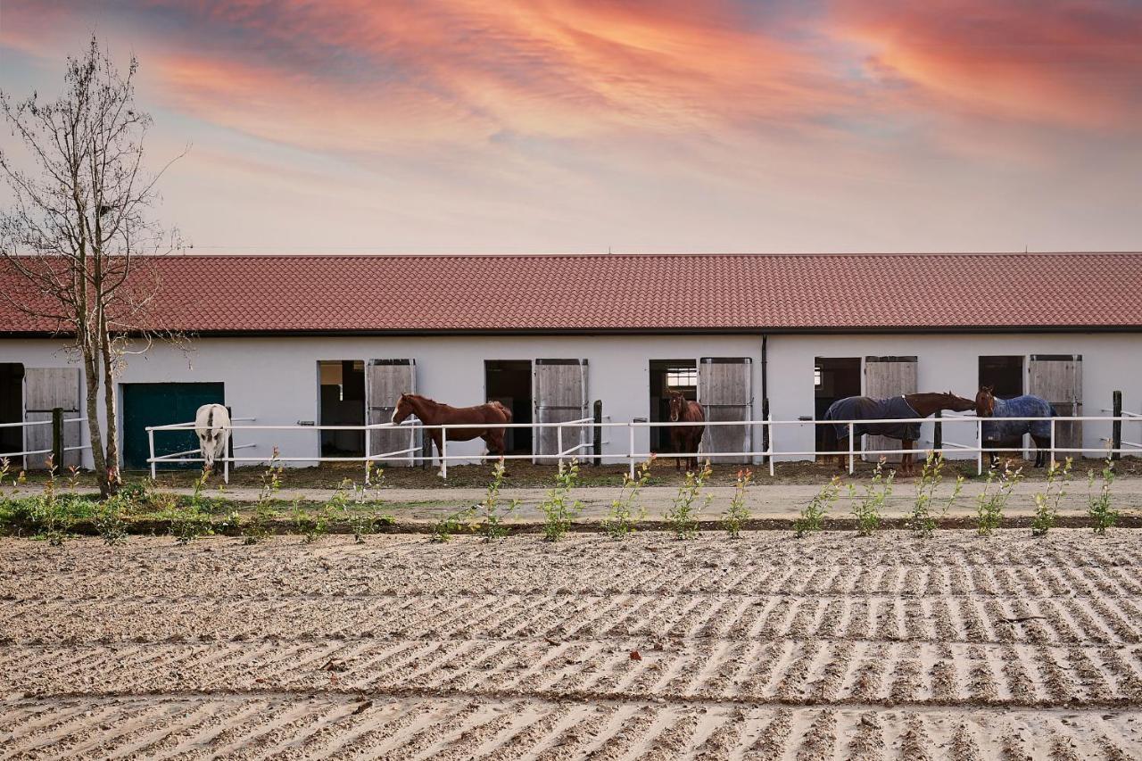 Вилла Brussa Horse Oasi Каорле Экстерьер фото