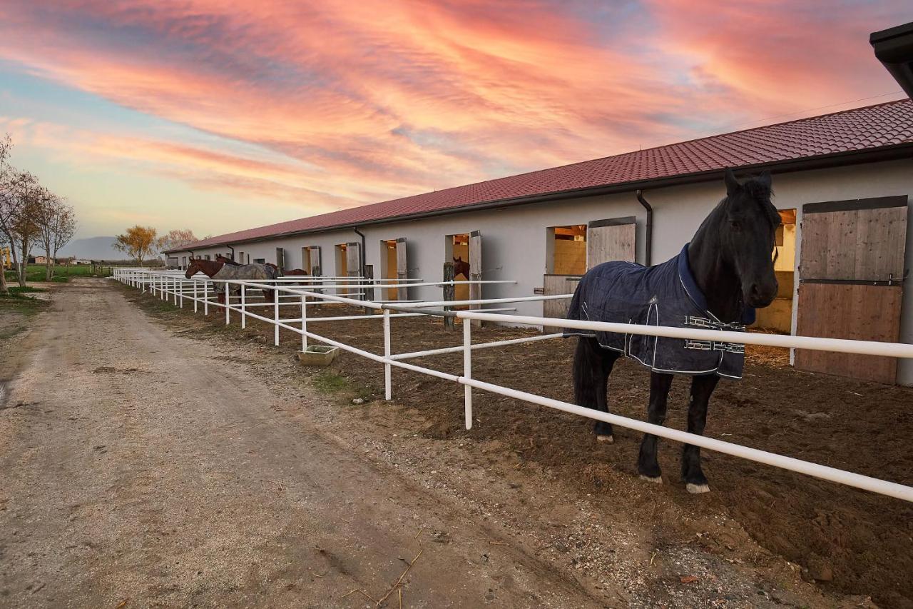 Вилла Brussa Horse Oasi Каорле Экстерьер фото